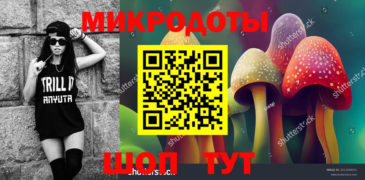 Галлюциногенные грибы Cubensis  Вход с VPN  Ржев 