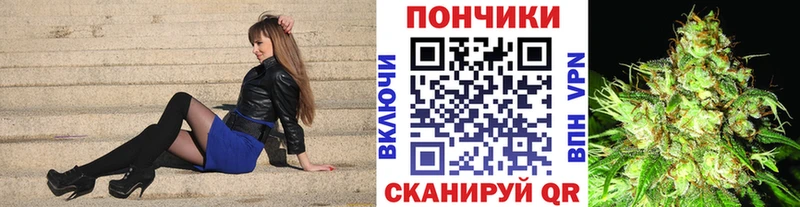 Канабис планчик  где купить наркотик  Ржев 
